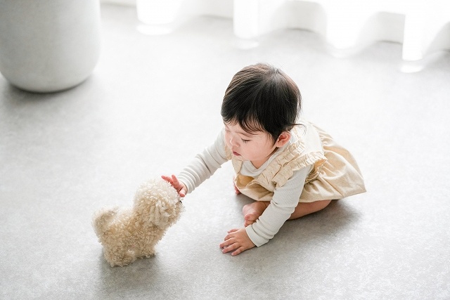 神戸の注文住宅の子どもと犬のいる平屋の生活のイメージ