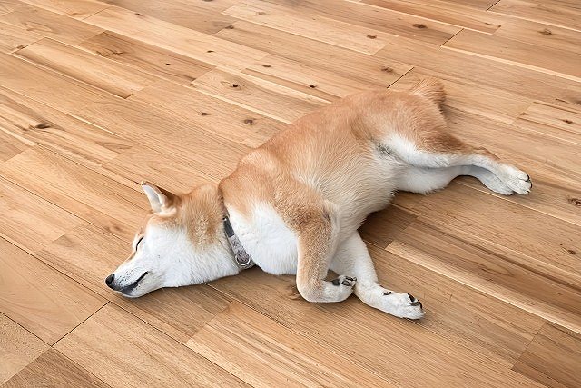 神戸の家づくりなら無垢材のイメージ画像