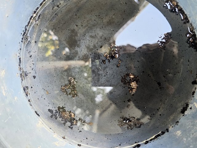 外部フードの清掃後の汚れた水