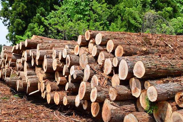 明石の兵庫県産木材を使った注文住宅の木材画像