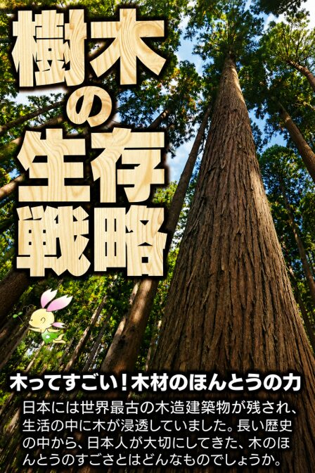 樹木の生存戦略のイメージ画像1