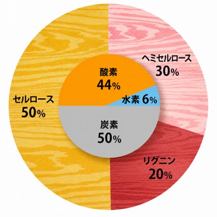 樹木の生存戦略のイメージ画像2