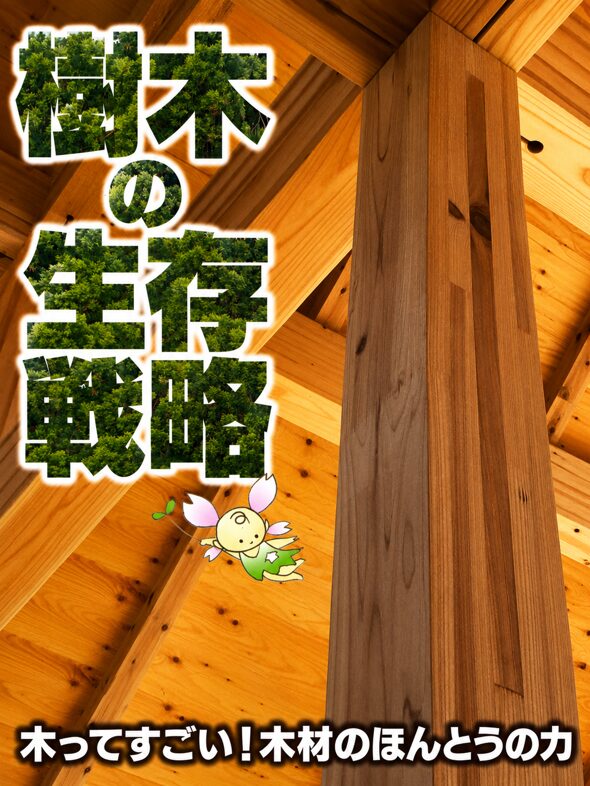 樹木の生存戦略のイメージ画像3